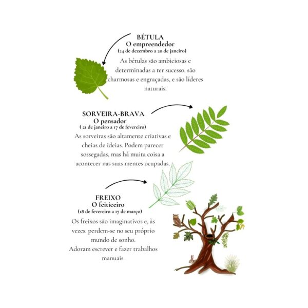 Sabidolas - A Magia do teu dia - Image 7