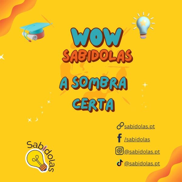 WOW Sabidolas - Image 4