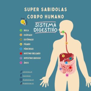Super Sabidolas - Corpo Humano: Sistema Digestivo