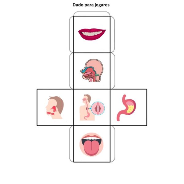 Super Sabidolas - Corpo Humano: Sistema Digestivo - Image 5